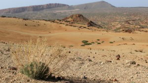 Provision in the Wilderness